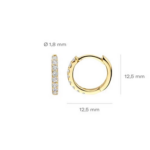 Blush Lab Diamonds oorbellen LG7029Y