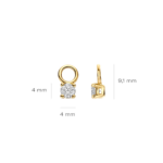 Blush Lab Diamonds Oorhangers LG9000Y