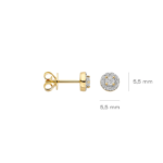 Blush Lab Diamonds Oorknoppen LG7011Y