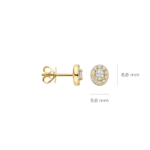 Blush Lab Diamonds oorknoppen LG7033Y
