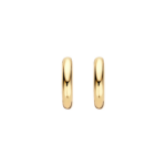 Blush Lab Diamonds Oorringen LG7021Y