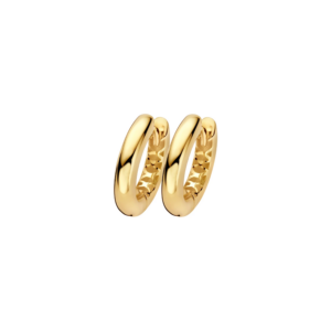 Blush Lab Diamonds Oorringen LG7021Y