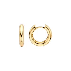 Blush Lab Diamonds Oorringen LG7021Y
