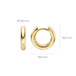 Blush Lab Diamonds Oorringen LG7021Y