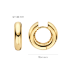 Blush Lab Diamonds Oorringen LG7023Y