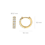 Blush Lab Diamonds oorringen LG7031Y