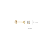 Blush Lab Diamonds oorstekers LG7036Y