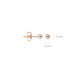 Blush oorbellen 7120RGO