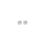 Blush oorbellen 7127WZI