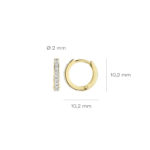 Blush oorbellen 7129BZI
