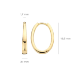Blush oorbellen 7303YGO