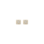Blush oorbellen 7395YZI