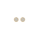 Blush oorbellen 7396YZI