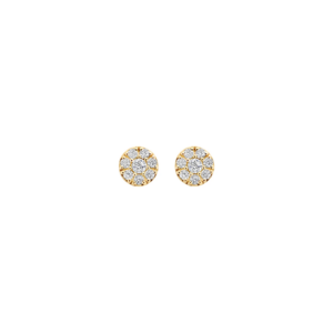 Blush oorbellen 7396YZI