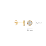 Blush oorbellen 7396YZI
