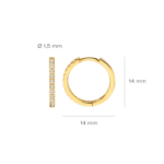 Blush oorringen 7309YZI