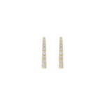Blush oorringen 7341YZI