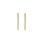 Blush oorringen 7343YZI