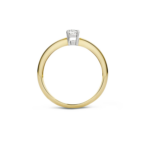 Blush ring 1067BZI