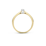 Blush ring 1186BZI